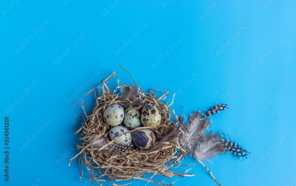 Easter composition with quail eggs in a nest on a blue background. Greeting card. Flat lay. Copy space for text