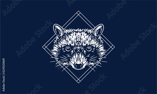 raccoon on dark background