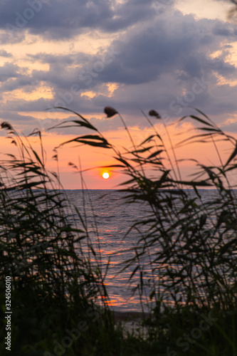  Sunrise silhouette through shoreline reeds.