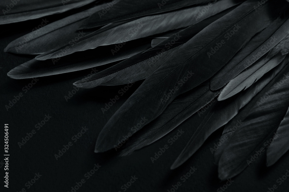 Obraz premium black background