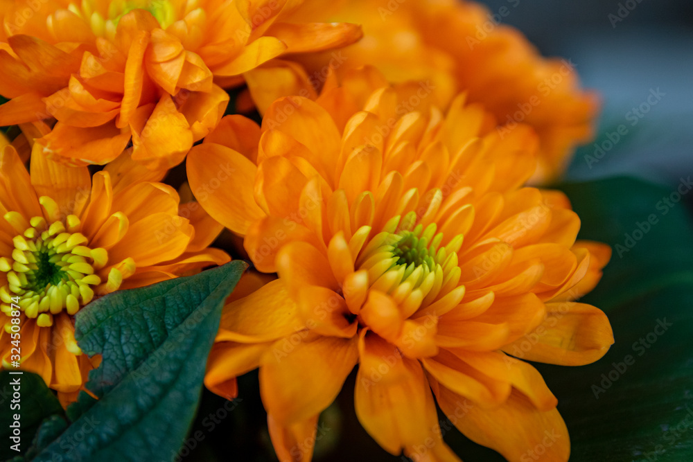 Orange Chryantheme im Blumenstrauß Orange Chryantheme im Blumenstrauß