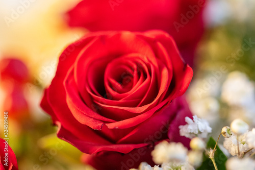 Rote Rose im Blumenstrauß mit Bokeh
