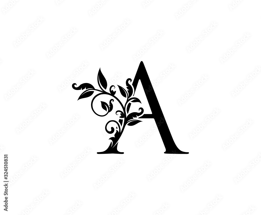 Classy Elegant letter A. Graceful royal style. Calligraphic beautiful logo. Vintage drawn emblem for book design, weeding card, brand name, business card, Restaurant, Boutique, Hotel. Classy Elegant letter A. Graceful royal style. Calligraphic beautiful logo. Vintage drawn emblem for book design, weeding card, brand name, business card, Restaurant, Boutique, Hotel.