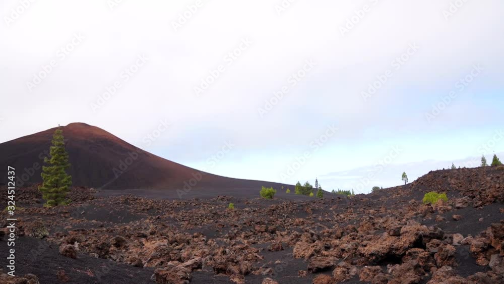 Volcano Chinyero with a lava field and trees. Tenerife, Spain (Canary Islands) Volcano Chinyero with a lava field and trees. Tenerife, Spain (Canary Islands)