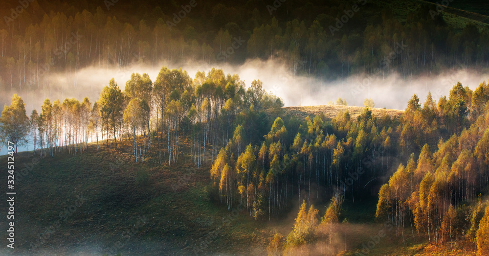 Φωτογραφία Banner of beautiful misty and foggy morning in golden hour on a peaceful meadow