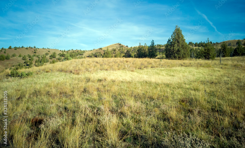 autumn, background, beautiful, blue, branches, brown, clay, clouds, colorful, fall, fantastic, fossil, gold, grass, green, hike, hill, john day fossil beds, landscape, marc sanchez, Mitchell, mound, n autumn, background, beautiful, blue, branches, brown, clay, clouds, colorful, fall, fantastic, fossil, gold, grass, green, hike, hill, john day fossil beds, landscape, marc sanchez, Mitchell, mound, n