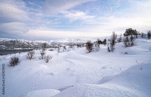idyllic winter landscape on Sommarøy Archipelago in northern Norway, near Tromsoe © Uwe