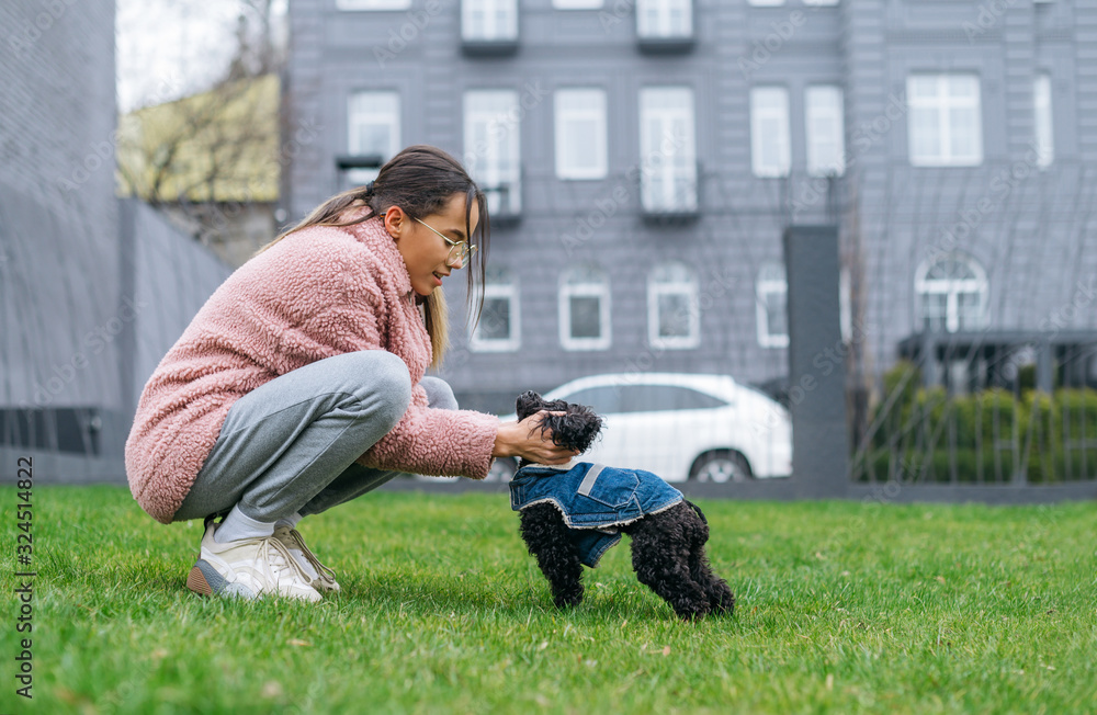 Happy attractive girl sitting on the lawn and playing with a little black dog. Cute lady on a peg with a puppy breed toy poodle, petting an animal and smiling. Happy attractive girl sitting on the lawn and playing with a little black dog. Cute lady on a peg with a puppy breed toy poodle, petting an animal and smiling.