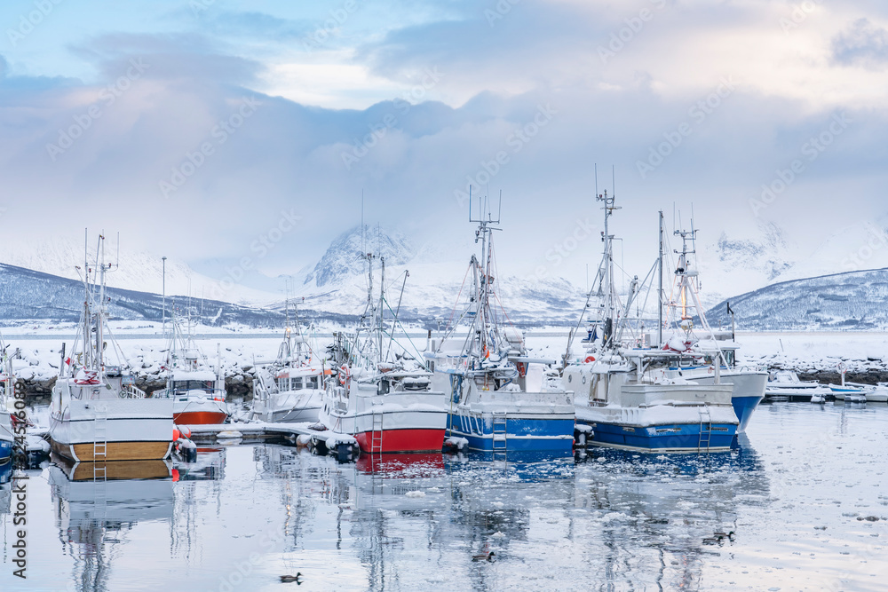 fishing harbor of Oldervik in northern Norway near Tromso under a deep snow cover