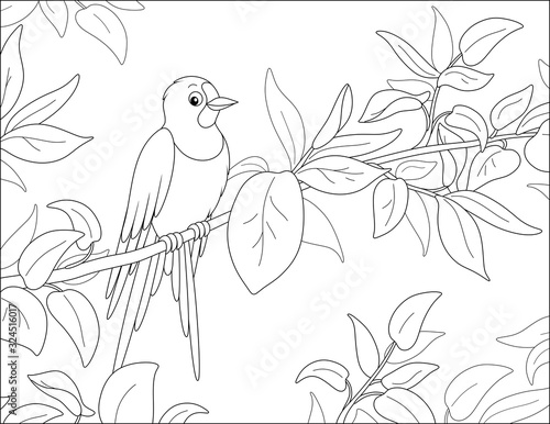 Small cute swallow perched on a thin branch with spring leaves, black and white vector cartoon illustration for a coloring book page