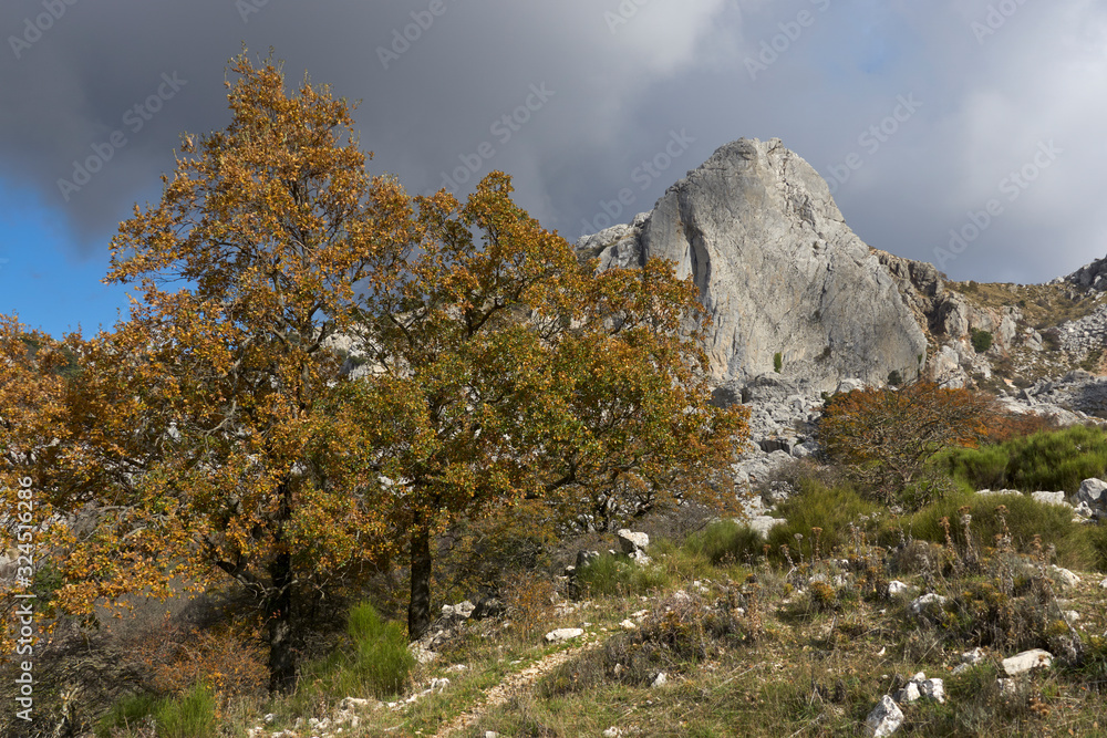 Hiking areas in the mountains of Malaga. Andalusia, Spain Hiking areas in the mountains of Malaga. Andalusia, Spain