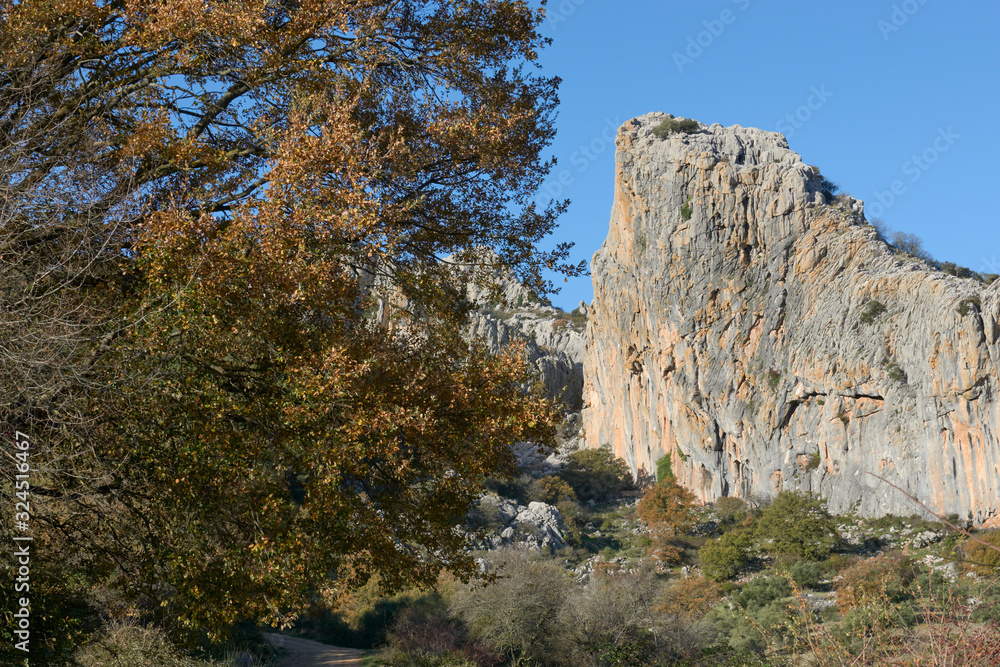 Climbing area in the mountains of Malaga. Spain. Climbing area in the mountains of Malaga. Spain.