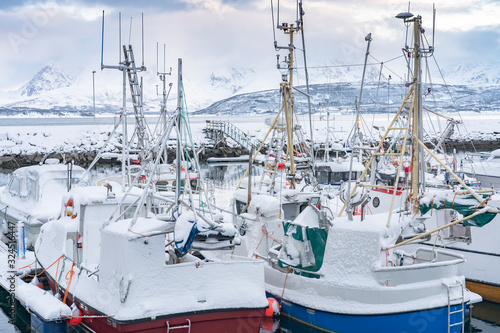 fishing harbor of Oldervik ...