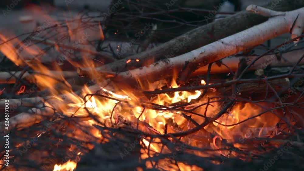 Beautiful bonfire in the forest in the mountains. Firewood burns in a flame of fire in the evening. Tourist camp by the fire. Beautiful bonfire in the forest in the mountains. Firewood burns in a flame of fire in the evening. Tourist camp by the fire.