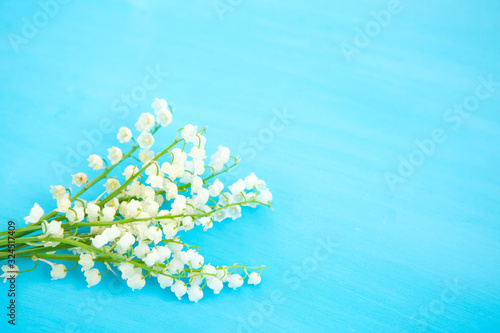 Wonderful fragrant white flowers with a delicate scent. Lily of the Valley on blue wooden background