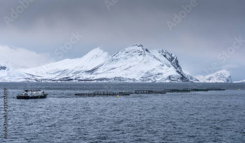 Fishfarm in Winter landscap...