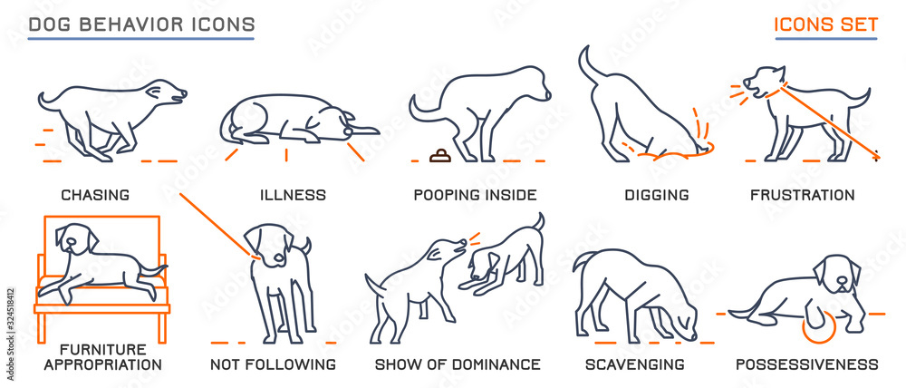 Dog Behavior Icons Set