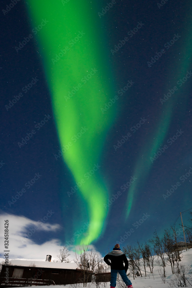 polar lights on Kvaloeya island near Tromsoe, northern Norway, landscapephotography