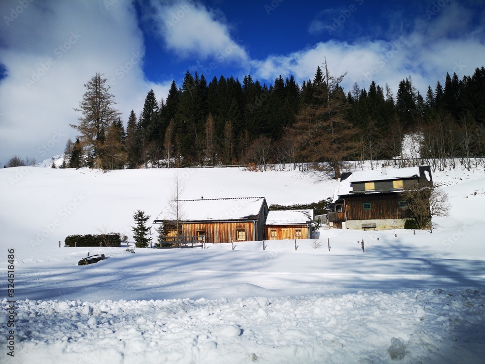 eingeschneites Dorf in den Alpen
