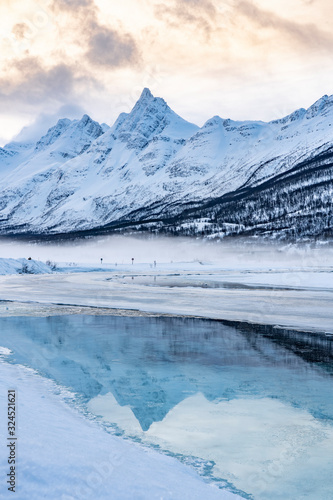 icy winter landscape in the...