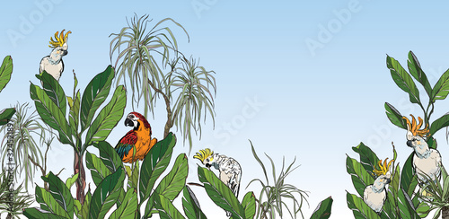Panorama Lanscape High End, Exotic Parrots Cockatoo on Palm Trees, Exotic Plants Seamless Border, Tropics Mural Wallpaper Colorful Birds in Rainforest