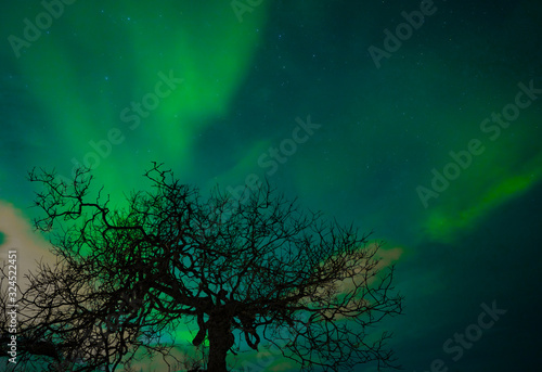 polar lights on Kvaloeya island near Tromsoe, northern Norway, landscapephotography