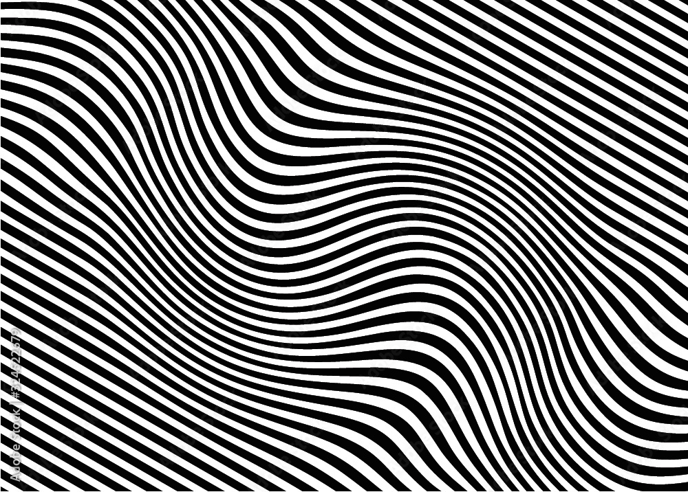 Modern background of curved black and white lines. Vector illustration