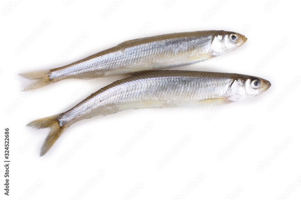 Smelt fishes isolated on white Smelt fishes isolated on white