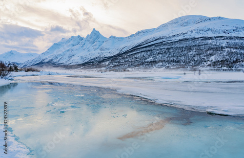 icy winter landscape in the...