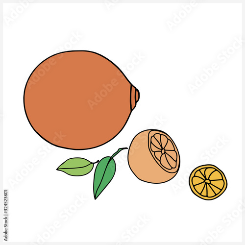 Elements of orange. Graphics color. Vector.