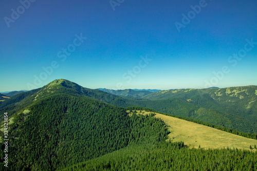 spring season Carpathian mountains lonely peak green trees cover Western Ukrainian scenic view nature background landscape in clear weather day time blue sky