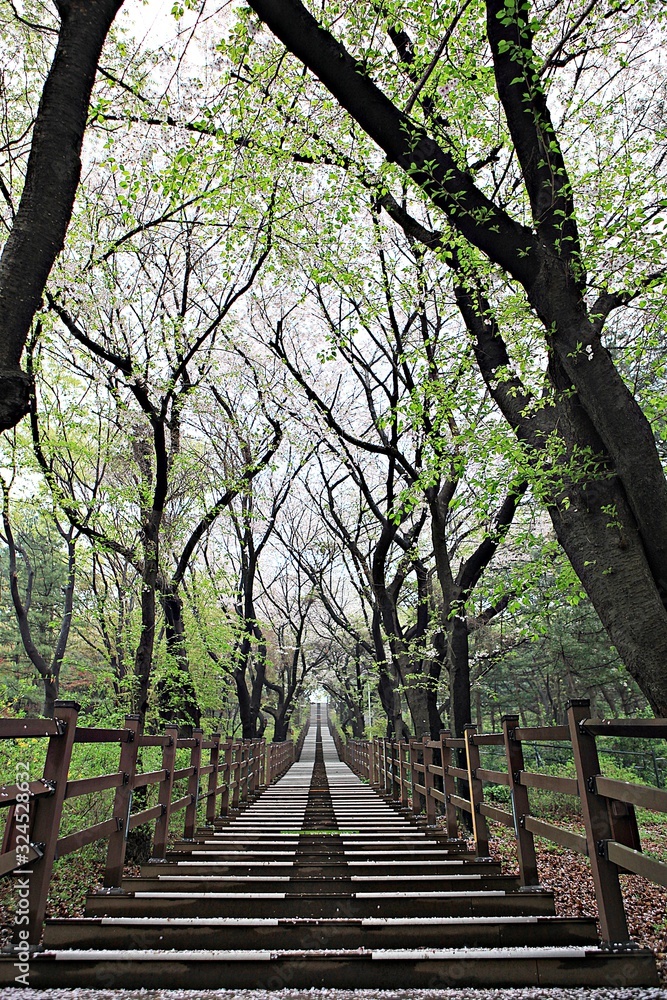 Fototapeta premium 여행중찍은꽃과풍경입니다