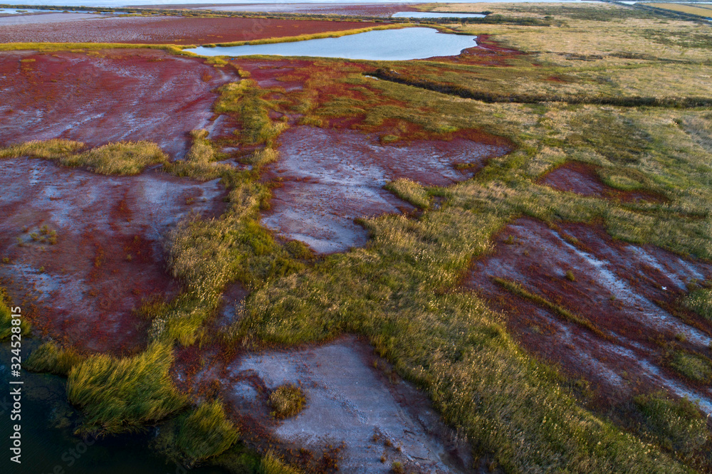 Aerial photo of tiaozi wetland, Yancheng City, Jiangsu Province, China Aerial photo of tiaozi wetland, Yancheng City, Jiangsu Province, China