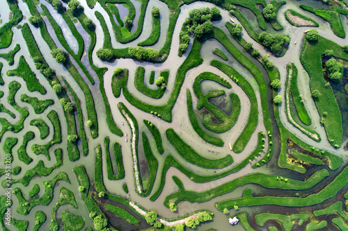 Aerial photo of reed maze in Dazhong lake, Yancheng City, Jiangsu Province, China
