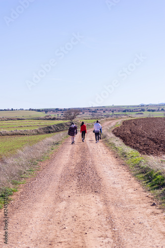 walking in the fresh grass fields of teruel