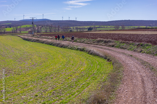 walking in the fresh grass fields of teruel