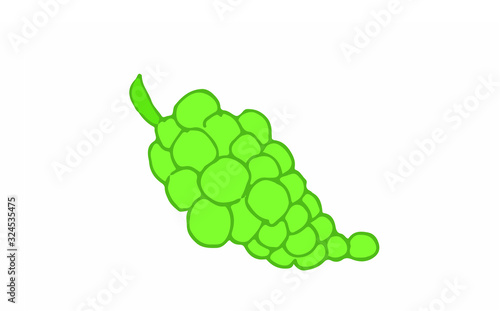 green grape vector illustration. draw. delicious organic.
