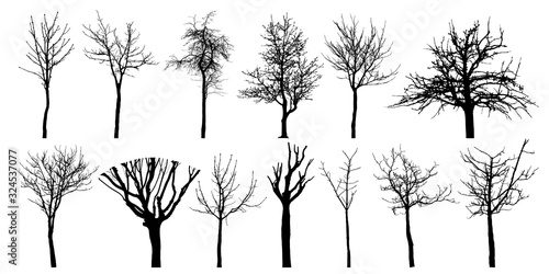 Bare different trees, set of silhouettes. Vector illustration.