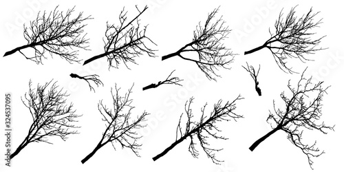 Big set of silhouettes of autumn branches of different trees. Vector illustration.