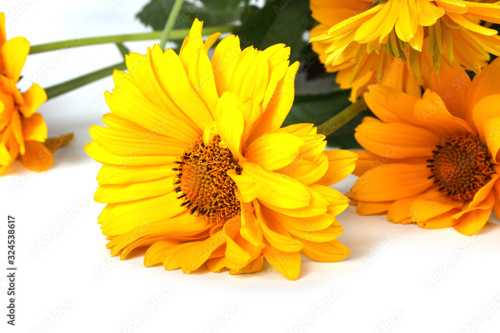 Yellow chamomiles isolated on white Yellow chamomiles isolated on white