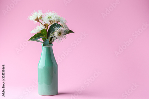 Fototapeta Eucalyptus flowers with leafs in green bottle on pink background with copy space