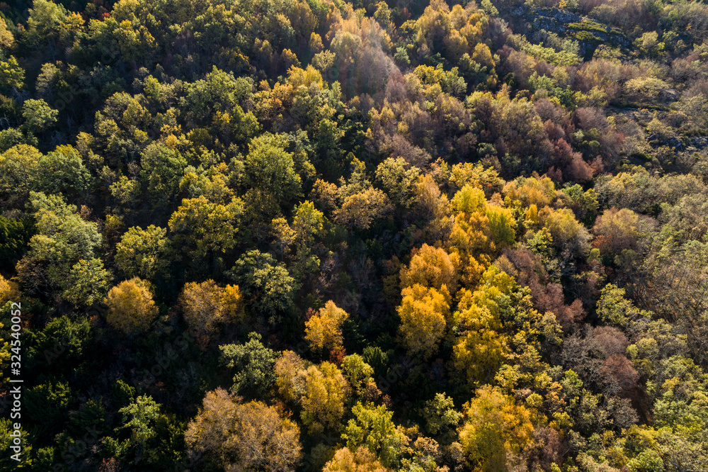 aerial landscape in autumn aerial landscape in autumn