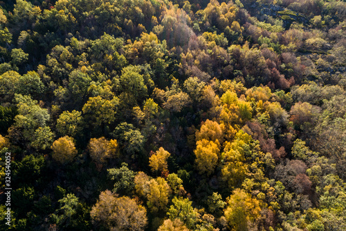 aerial landscape in autumn