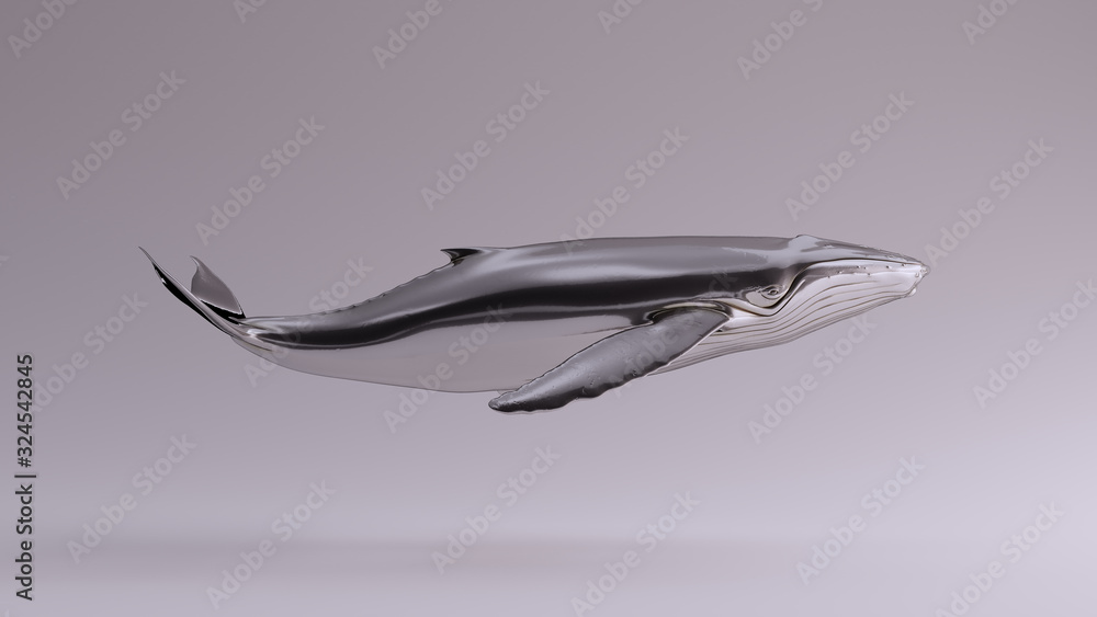 Silver Humpback Whale View 3d illustration 3d render Silver Humpback Whale View 3d illustration 3d render