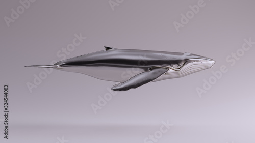 Silver Humpback Whale View 3d illustration 3d render
