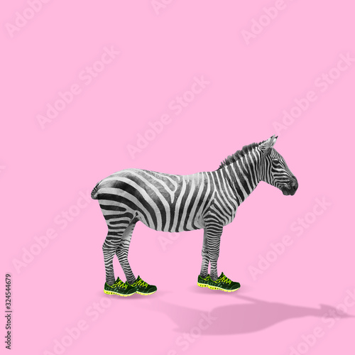 Professional runner. Zebra trying on new sportshoes for run on pink background. Copyspace for your proposal. Modern design. Contemporary artwork, collage. Concept of fashion, beauty, sport, animal. photo