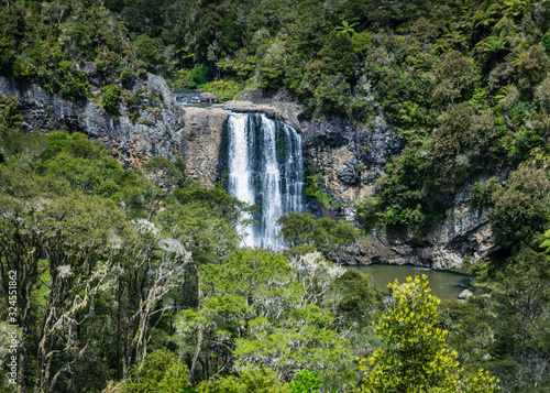 waterfall in deep forest in northern new zealand