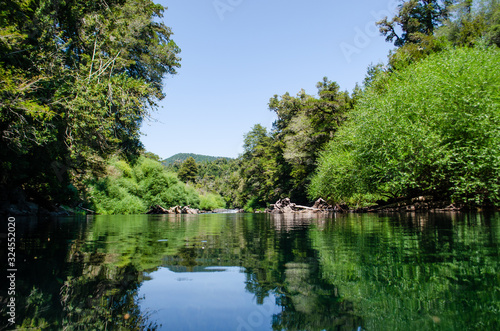 lake in the park