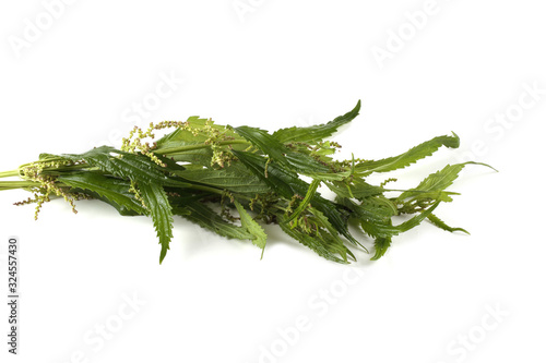 Nettle isolated on white