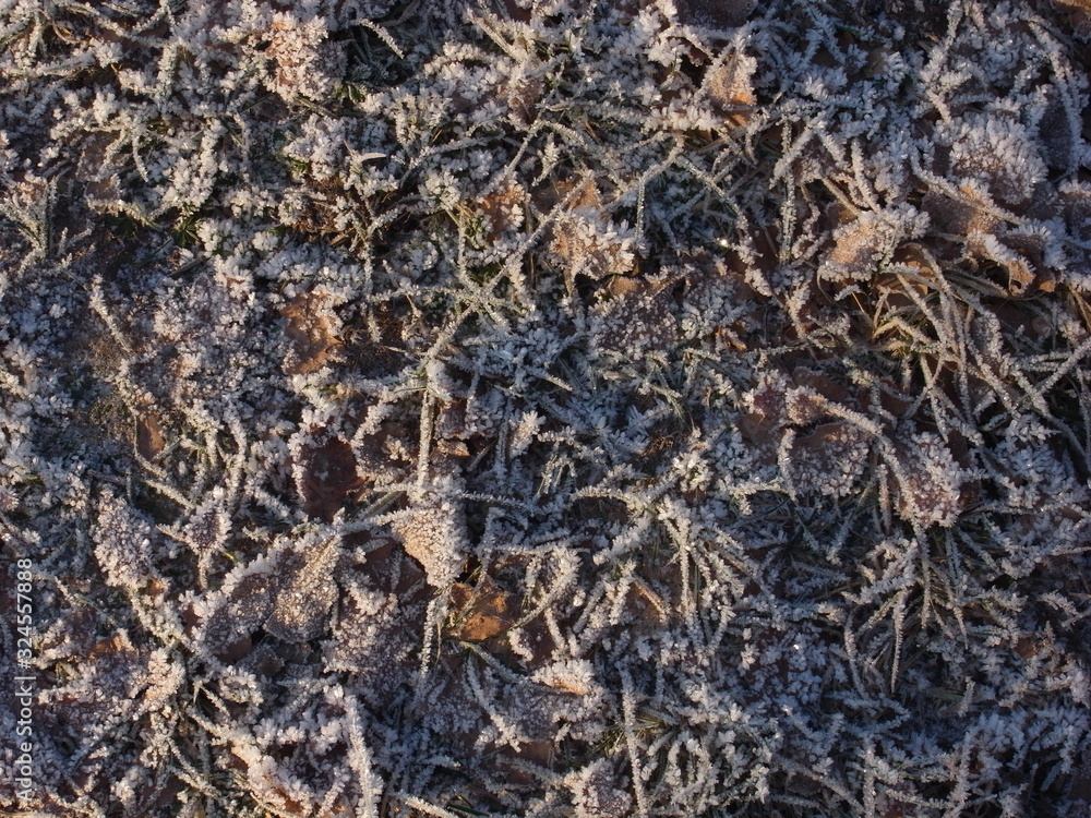 background of frozen frosty leaves and grass background of frozen frosty leaves and grass